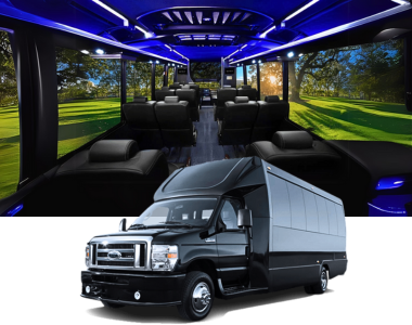 Ford Super Duty F-250 Platinum